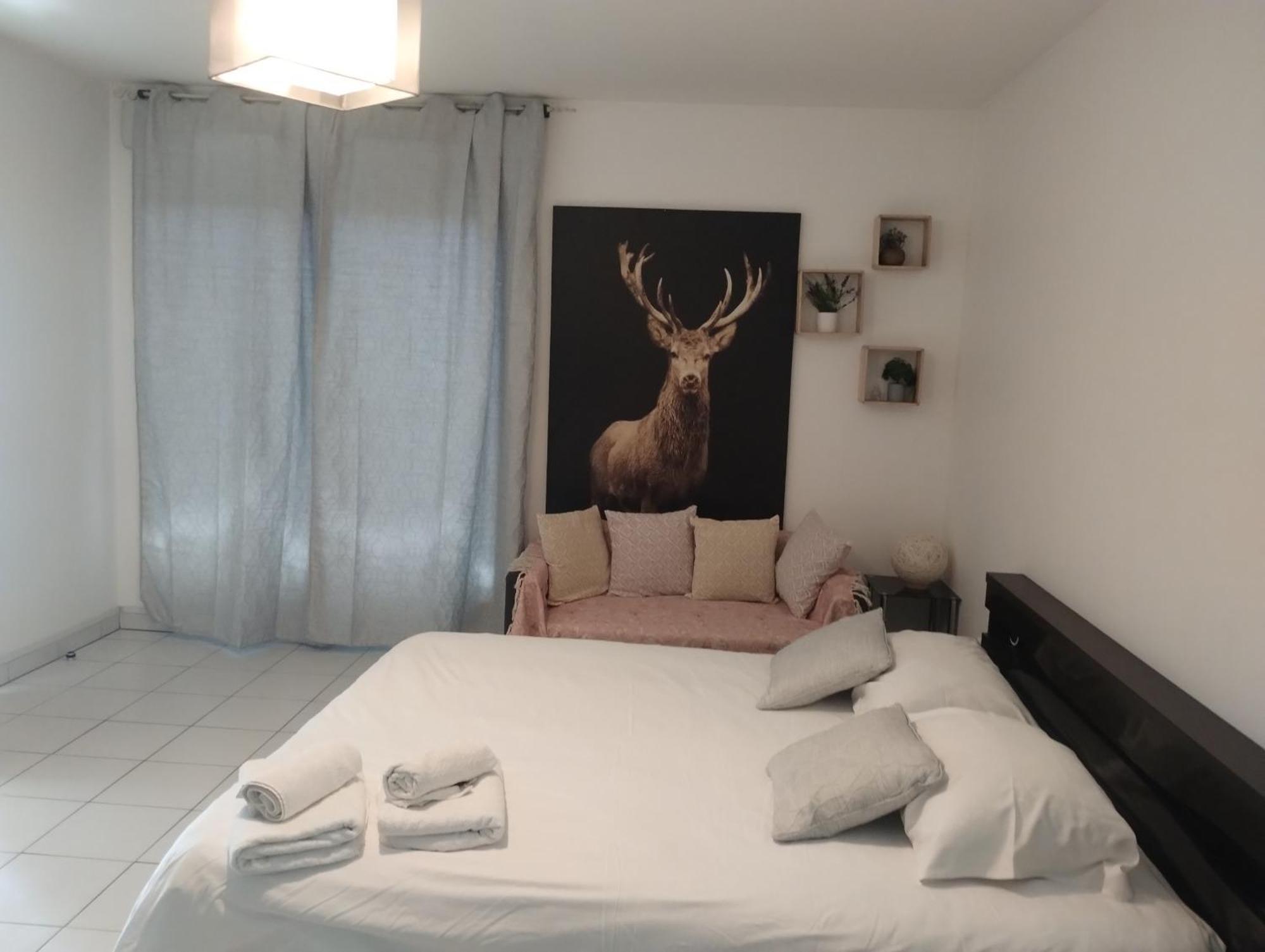 Chaleureux Studio ตูลูส ภายนอก รูปภาพ